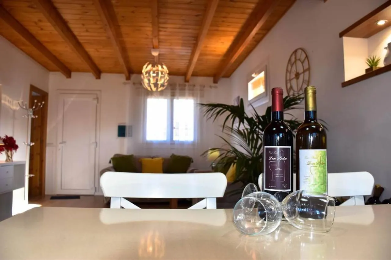 Charming House With Sea View Icod De Los Vinos Bbq Spanien