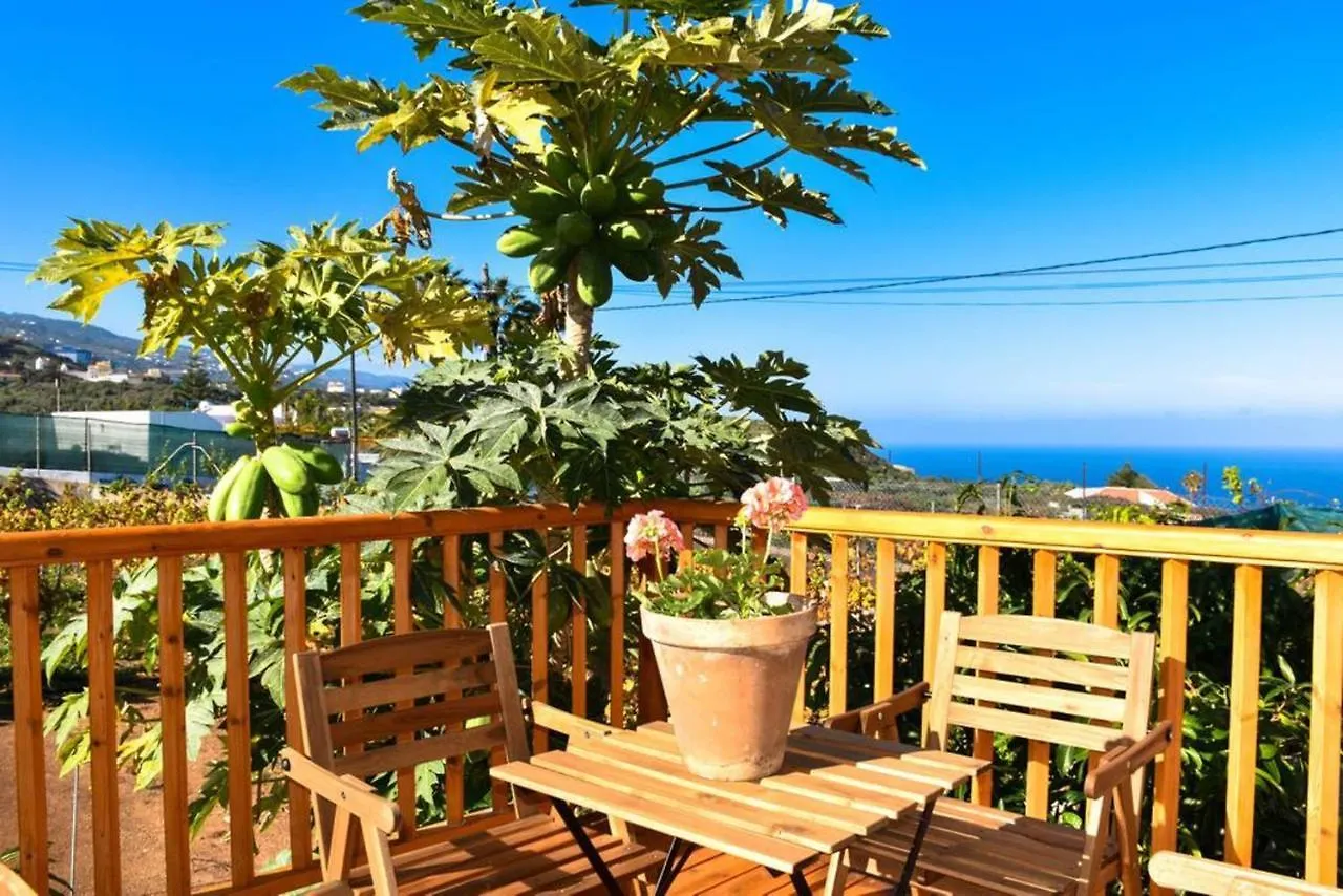 Charming Sea View Villa: Icod De Los Vinos Holiday home